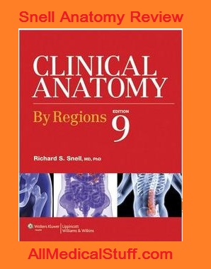 snell neuroanatomy free pdf